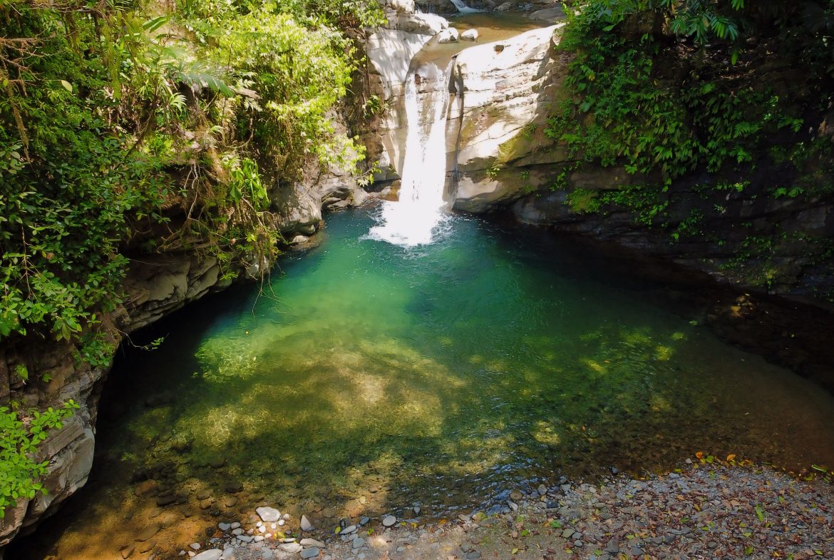JUNGLE DREAMS FARM: WHERE NATURE MEETS SERENITY – 20 ACRES